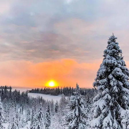 Joutsen A By Interhome * Ruka