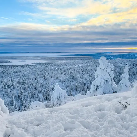 Joutsen A By Interhome Loma-asunnot Ruka