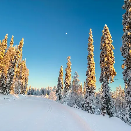 Loma-asunnot Joutsen A By Interhome Ruka